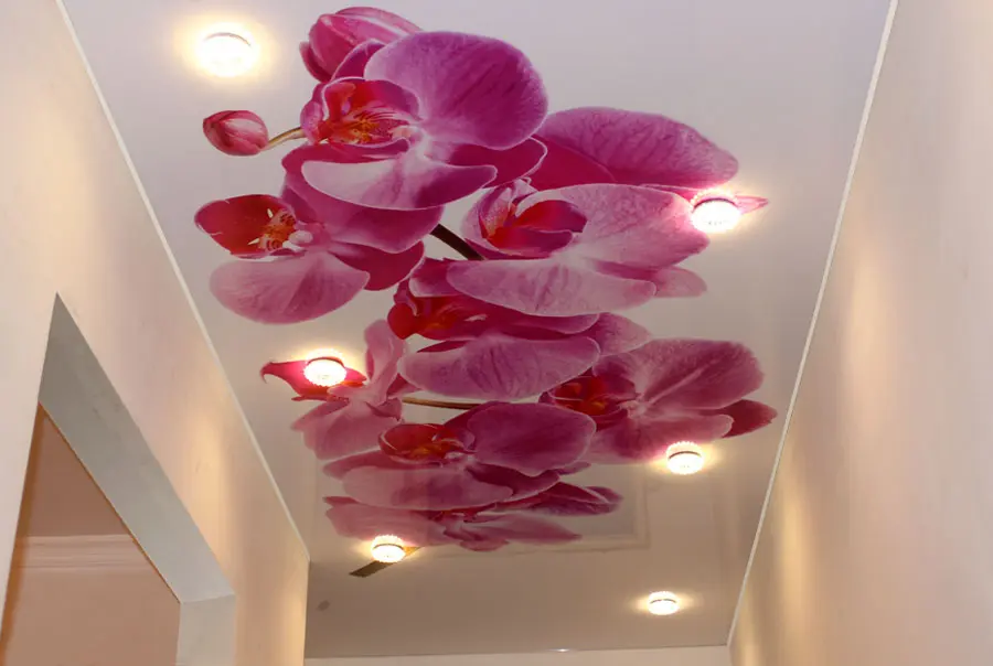 С помощью современных достижений фотопечать можно нанести любой рисунок на поливинилхлоридную пленку.